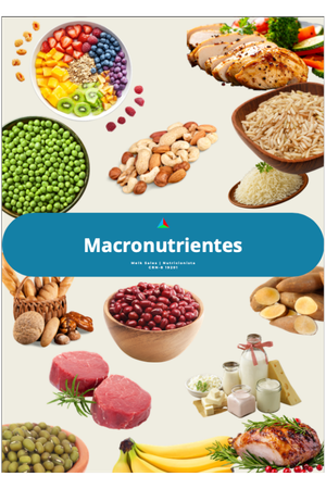 Dieta macronutrientes